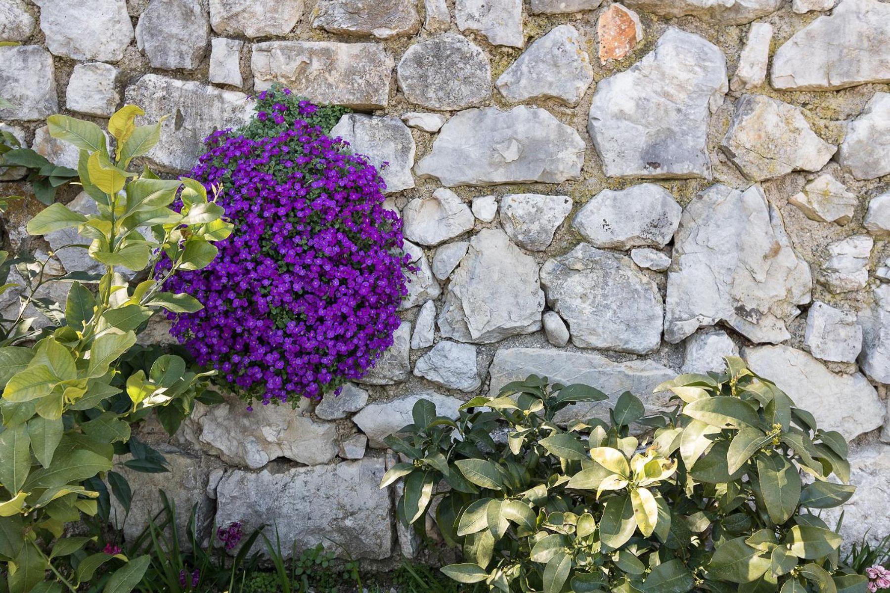 Appartement Melograno à Tignale Extérieur photo